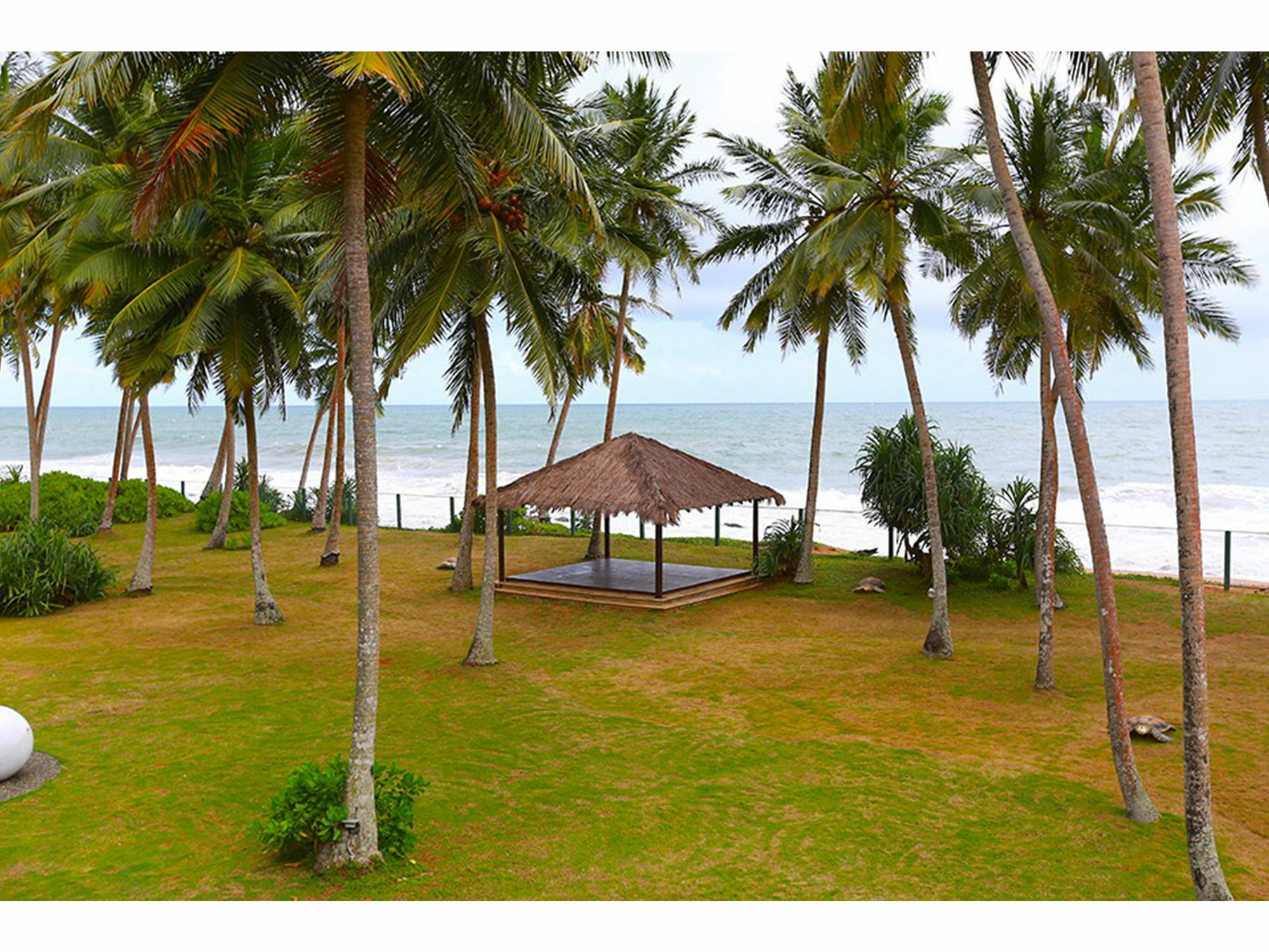 Green Turtle Villa By The Serendipity Collection Bentota Dış mekan fotoğraf