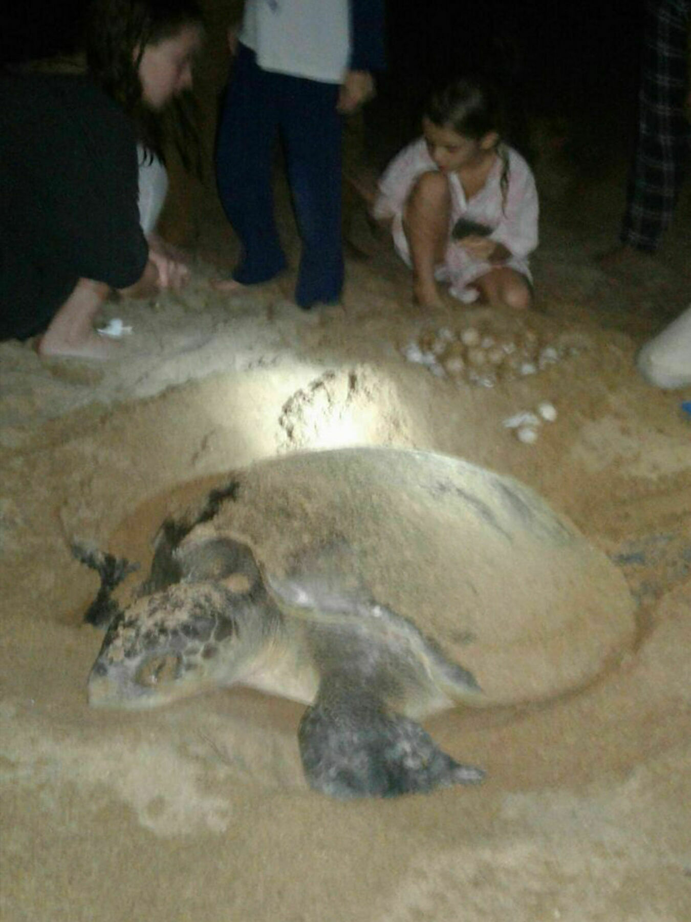 Green Turtle Villa By The Serendipity Collection Bentota Dış mekan fotoğraf